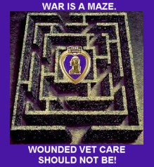 after_the_bugles_maze_with_purple_heart_2007_190x190_titled_trimmed.jpg